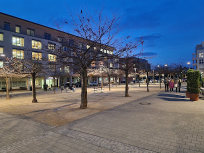 Versorgungshaus und Wiesenhuettenstift Stiftung