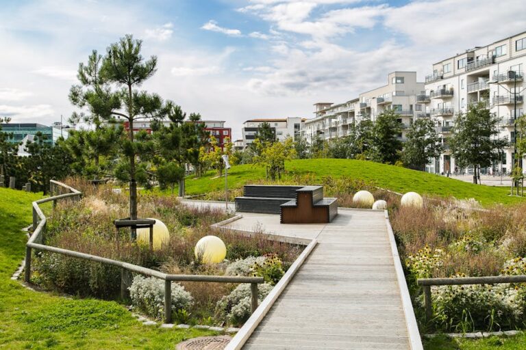 sr template 09 1 8 768x512