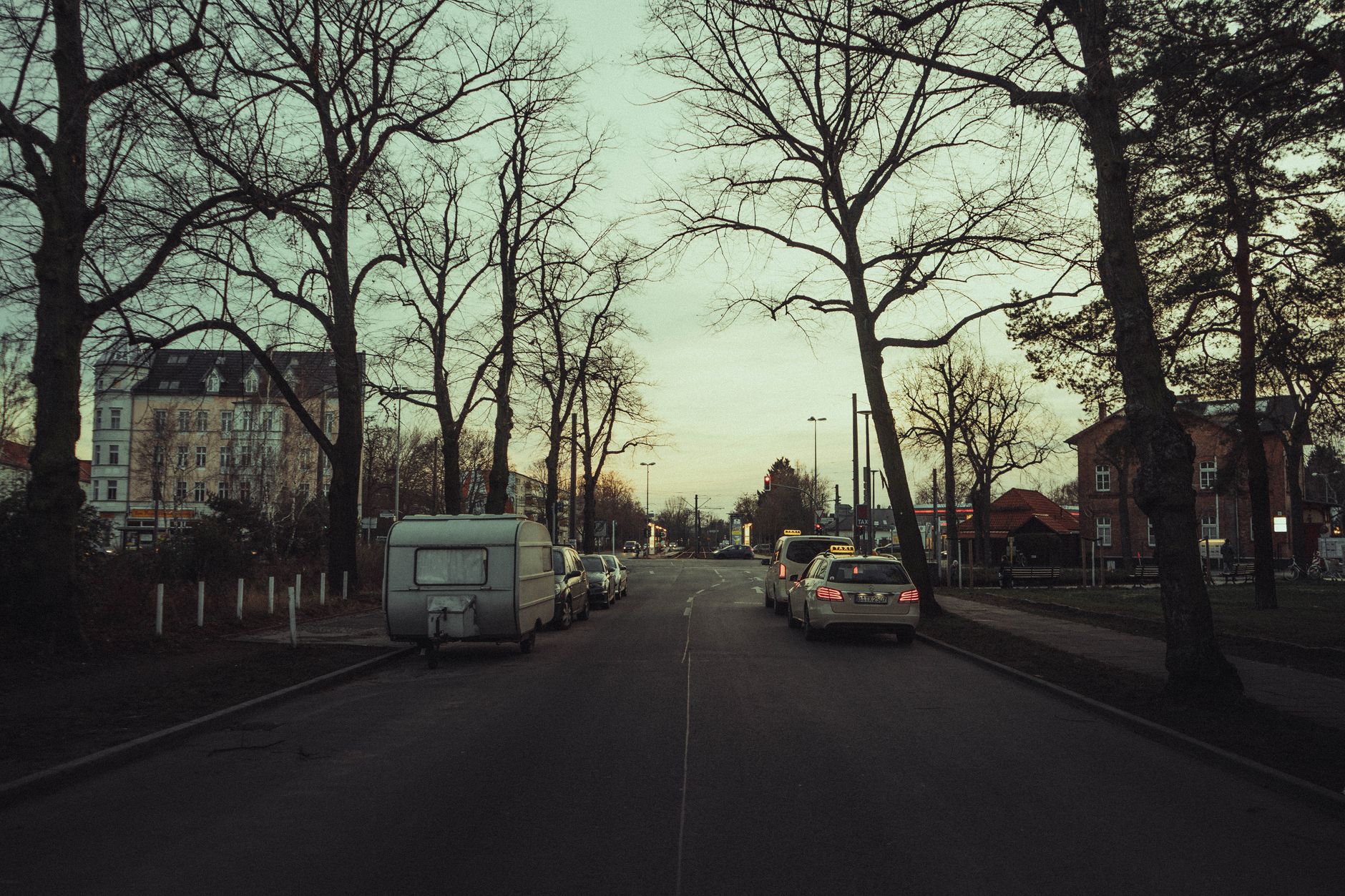 Villenallee im Berliner Ortsteil Grunewald mit altem Baumbestand