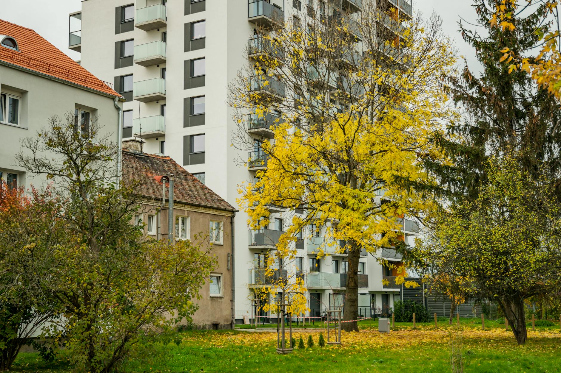 Gepflegte Parkanlage mit Bäumen und Sitzplätzen an einer Seniorenresidenz