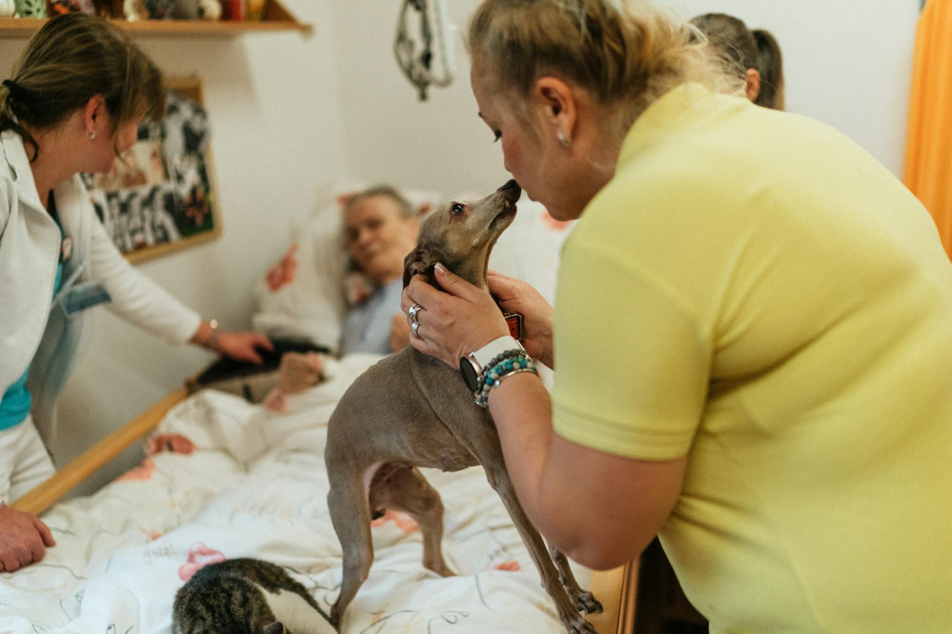 Aufnahme aus dem Krankenhaus: Direktanmeldung in die Residenz